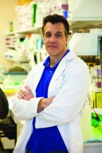 Dan Liebl, Ph.D.
