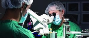 Dr. Jim Guest