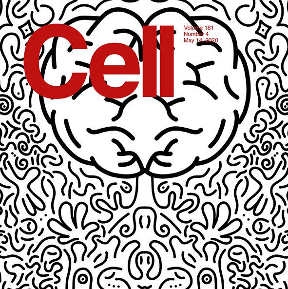 Cell