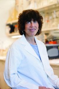 Jacqueline Sagen, Ph.D.