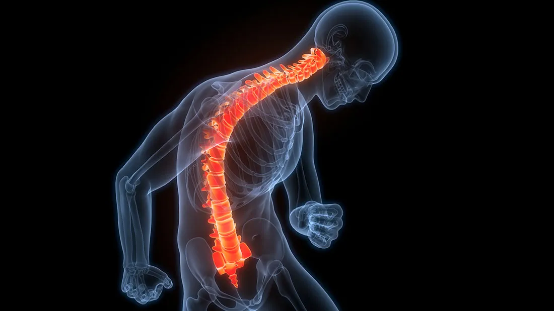 Using Schwann Cells to Treat Traumatic Peripheral Nerve Injuries