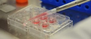 Pipette